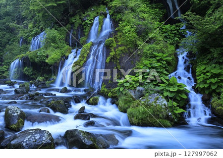 初夏の吐竜の滝 127997062
