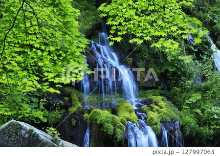 初夏の吐竜の滝 127997063
