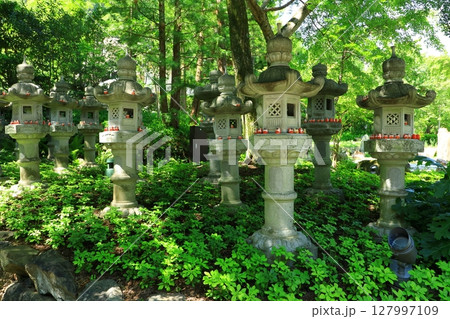 勝尾寺　石燈籠と勝ちダルマ 127997109