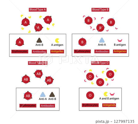 illustration of biology and chemistry, Blood transfusion is the process of transferring blood products into a person's circulation intravenously, four major blood groups, Donate blood illustration of biology and chemistry, Blood transfusion is the process of transferring blood products into a person's circulation intravenously, four major blood groups, Donate blood 127997135