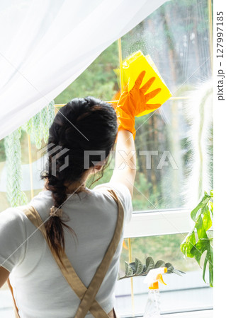 Woman in rubber gloves and apron manually washes window of house with rag cleaner and mop inside interior with home plants on windowsill. Restoring order and cleanliness in spring, cleaning servise 127997185