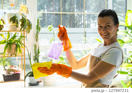 Woman Portrait in rubber gloves and apron manually washes window of house with rag cleaner and mop inside interior with home plants. Restoring order and cleanliness in spring, cleaning servise 127997231