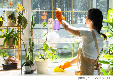 Woman in rubber gloves and apron manually washes window of house with rag cleaner and mop inside interior with home plants on windowsill. Restoring order and cleanliness in spring, cleaning servise Woman in rubber gloves and apron manually washes window of house with rag cleaner and mop inside interior with home plants on windowsill. Restoring order and cleanliness in spring, cleaning servise 127997233