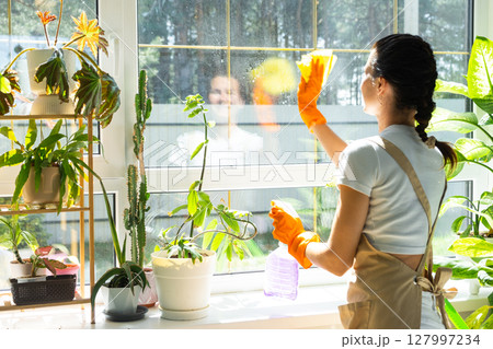 Woman in rubber gloves and apron manually washes window of house with rag cleaner and mop inside interior with home plants on windowsill. Restoring order and cleanliness in spring, cleaning servise Woman in rubber gloves and apron manually washes window of house with rag cleaner and mop inside interior with home plants on windowsill. Restoring order and cleanliness in spring, cleaning servise 127997234