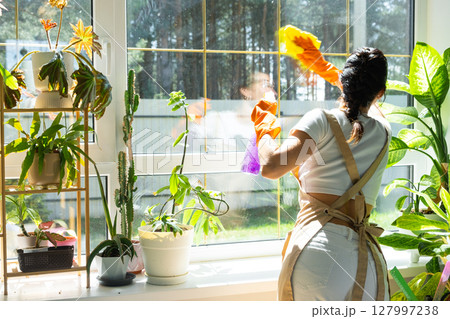 Woman in rubber gloves and apron manually washes window of house with rag cleaner and mop inside interior with home plants on windowsill. Restoring order and cleanliness in spring, cleaning servise Woman in rubber gloves and apron manually washes window of house with rag cleaner and mop inside interior with home plants on windowsill. Restoring order and cleanliness in spring, cleaning servise 127997238