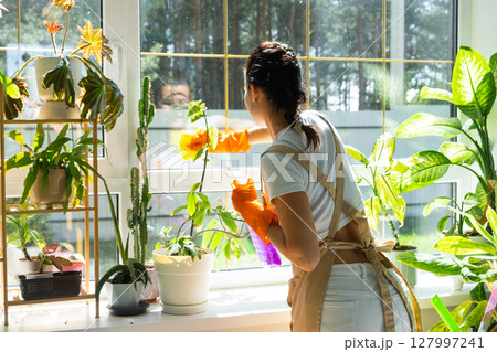 Woman in rubber gloves and apron manually washes window of house with rag cleaner and mop inside interior with home plants on windowsill. Restoring order and cleanliness in spring, cleaning servise Woman in rubber gloves and apron manually washes window of house with rag cleaner and mop inside interior with home plants on windowsill. Restoring order and cleanliness in spring, cleaning servise 127997241