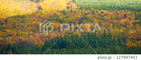 北海道富良野周辺から見たダイナミックな紅葉風景 127997401