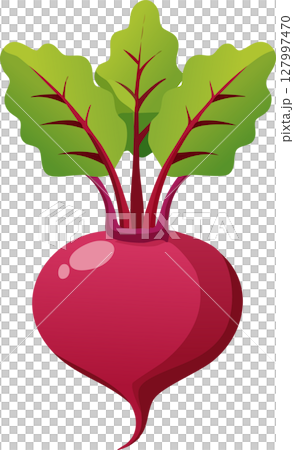 簡單可愛的甜菜插圖 127997470