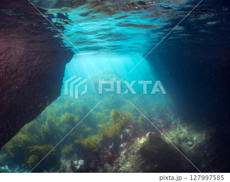 ヒリゾ浜の水中洞窟の美しい半水面撮影 青の洞窟 ヒリゾ浜中木南伊豆町伊豆半島静岡県2024 127997585