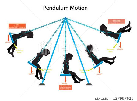 illustration of physics, Pendulum Motion, Period of a Pendulum, Simple harmonic motion, pendulum is a weight suspended from a pivot so that it can swing freely 127997629