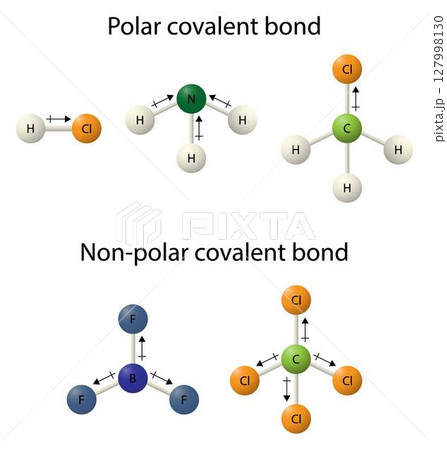 illustration of chemistry, Polar covalent bond and Nonpolar covalent bond, a covalent bond is nothing but a shared pair of electrons, atomic bond model 127998130