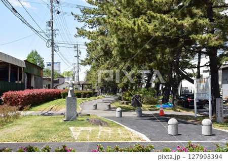 愛知県 知立の松並木と側道と青空 愛知県 知立の松並木と側道と青空 127998394