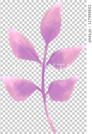 簡單可愛的植物向量插圖素材，帶有水彩風格的粉紅色和紫色的葉子 | 葉子，植物，樹枝，水彩，大自然 127998602