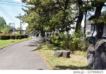 愛知県 知立の松並木と側道 愛知県 知立の松並木と側道 127998625