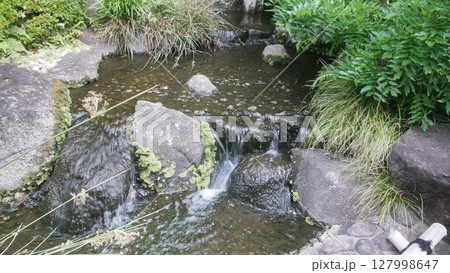 寺社 庭園 寺社 庭園 127998647