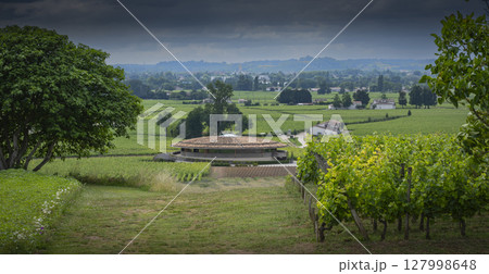 Vineyard in Bordeaux showcases the beauty of Saint-Emilion during springtime with Chateau Le Dome in Vineyard in Bordeaux showcases the beauty of Saint-Emilion during springtime with Chateau Le Dome in 127998648