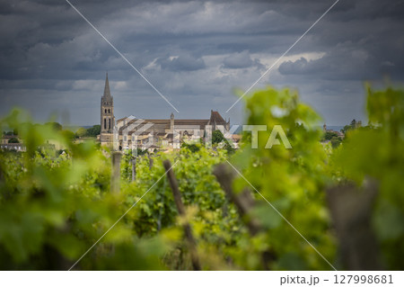 Bordeaux vineyards under dramatic skies showcasing Saint-Emilion's historic architecture and lush Bordeaux vineyards under dramatic skies showcasing Saint-Emilion's historic architecture and lush 127998681