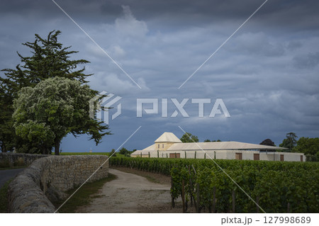 Springtime at Chateau Belair-Monnange in Saint-Emilion showcases Bordeaux vineyard under dramatic 127998689