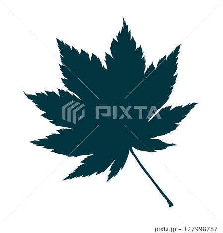 Hand-drawn maple leaf silhouette isolated on white background. Flat style vector illustration. 127998787