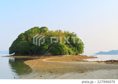 【山口県】周防大島の真宮島 127998870