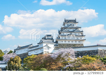 兵庫県姫路市 桜に彩られた春の国宝姫路城天守 兵庫県姫路市 桜に彩られた春の国宝姫路城天守 127999019