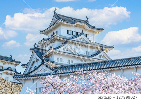 兵庫県姫路市　桜に彩られた春の国宝姫路城天守（近景） 127999027