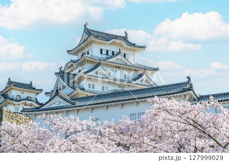 兵庫県姫路市　桜に彩られた春の国宝姫路城天守（近景） 127999029