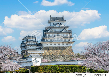 兵庫県姫路市　桜に彩られた春の国宝姫路城天守 127999031