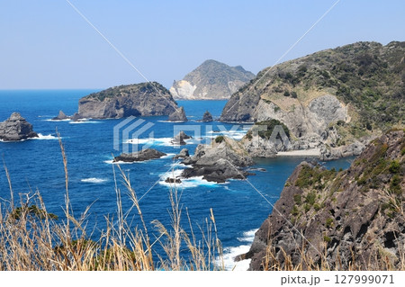 伊豆半島　奥石廊　あいあい岬 127999071