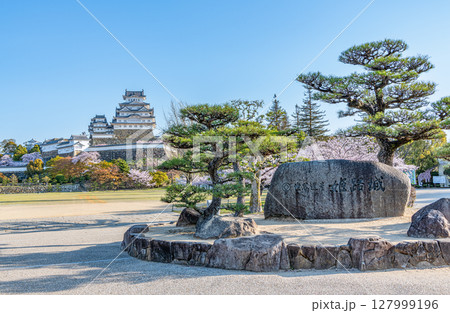 兵庫県姫路市　満開の桜が美しい快晴の国宝姫路城天守と城名が刻まれた石銘板 127999196