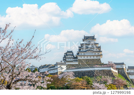 兵庫県姫路市　桜に彩られた快晴の国宝姫路城天守 127999198