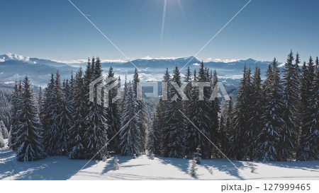 Capturing an aerial view of a wild forest blanketed in snow, sunny winter day with majestic mountain range and fluffy clouds in blue sky in the background. Winter wild nature travel background 127999465