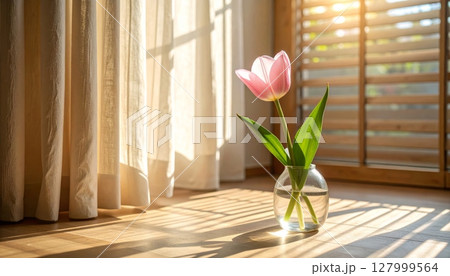 Pink tulips in a glass vase by a window bring a touch of spring floral beauty to the interior 127999564