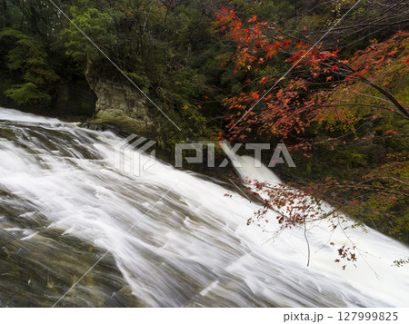 晩秋の養老渓谷・養老川 粟又の滝 / Awamata Waterfall, Isumi, Japan 127999825