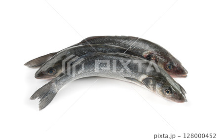 European seabass or Dicentrarchus labrax, whole raw labrax, branzino fish, European bass European seabass or Dicentrarchus labrax, whole raw labrax, branzino fish, European bass 128000452