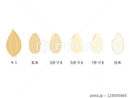 米の精米具合、もみから白米 128000868