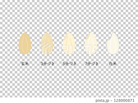 米の精米具合、玄米から白米 128000871