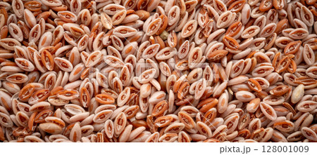 Plantago Ovata Seeds Isolated, Psyllium Husk, Isabgol Ispaghula Plantago Ovata Seeds Isolated, Psyllium Husk, Isabgol Ispaghula 128001009