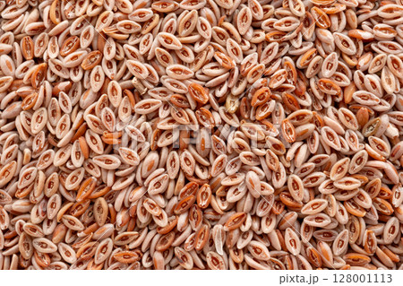 Plantago Ovata Seeds Isolated, Psyllium Husk, Isabgol Ispaghula 128001113