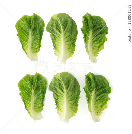 Romaine lettuce salad leaves isolated. Cos green leaves, fresh romain salat, raw romaine cabbage 128001115