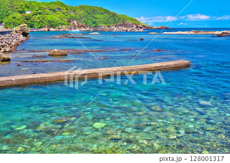 初夏の恵比須島 初夏の恵比須島 128001317