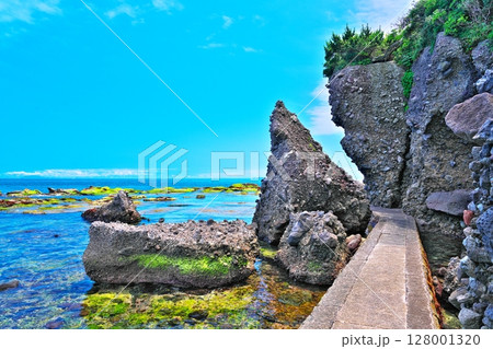 初夏の恵比須島 初夏の恵比須島 128001320