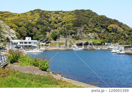 伊豆半島　南伊豆町　手石港 128001389