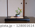 盆栽（キンズ） 128001614