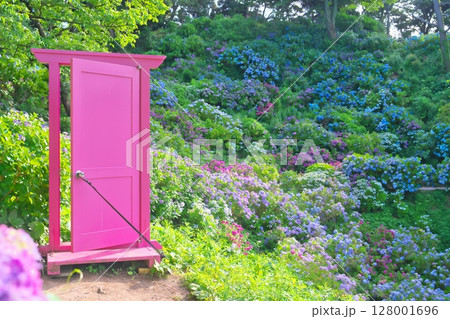 下田あじさい祭り 128001696