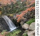 日本の紅葉 128001786