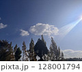 太陽と雲と針葉樹林に降り注ぐ太陽 128001794