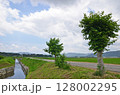 田んぼ 128002295