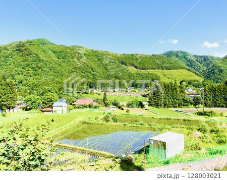新緑映えるのどかな風景 128003021