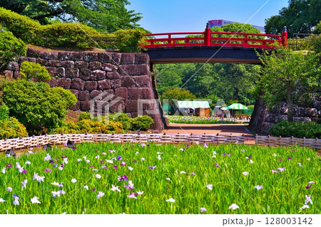 初夏の小田原城 128003142